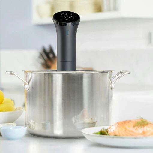 Precision Nano Sous Vide Dompelcirculator -Keukenbenodigdheden anova precision nano sous vide dompelcirculator 12