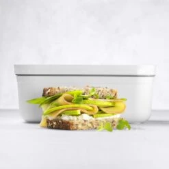 Zwilling Fresh & Save Lunchbox Plastic, 11x19 Cm / 0.8 L -Keukenbenodigdheden zwilling fresh save lunchbox plastic 18