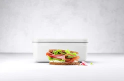 Zwilling Fresh & Save Lunchbox Plastic, 15x22 Cm / 1.6 L -Keukenbenodigdheden zwilling fresh save lunchbox plastic 22