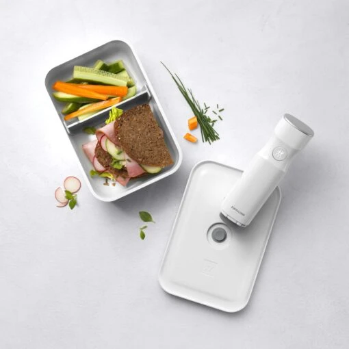 Zwilling Fresh & Save Lunchbox Plastic, 15x22 Cm / 1.6 L -Keukenbenodigdheden zwilling fresh save lunchbox plastic 23